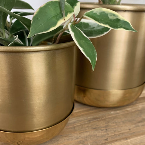Pot with Saucer ポット+受け皿セット Color:Black&Gold/White&Gold/Gold&Gold Size:12cm/16cm/20cm