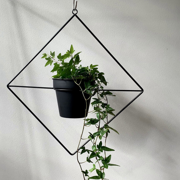 Hanging Pot (ﾊﾝｷﾞﾝｸﾞﾎﾟｯﾄ)　Size:幅43×奥行13.5×高さ45cm、（ポット）φ11.5×高さ12cm