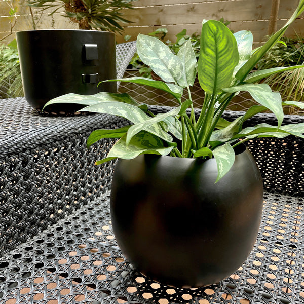 Planter Matte Black  プランター マットブラック Size: φ22.5×H23cm/φ25.5×H21cm