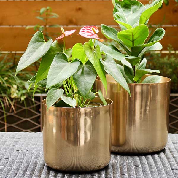 Shiny Aluminium Planter  シャイニーアルミプランター