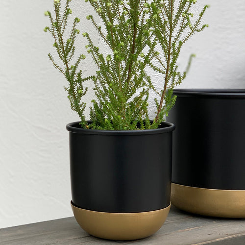 Pot with Saucer   ポット+受け皿セット Color:Black&Gold/White&Gold/Gold&Gold Size:12cm/16cm/20cm